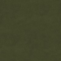 Asset preview